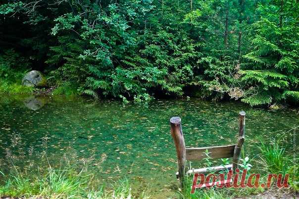 ПОИСК И ИСПОЛЬЗОВАНИЕ ВОДОИСТОЧНИКОВ - Вода - Выживание - Земля - Хроники жизни