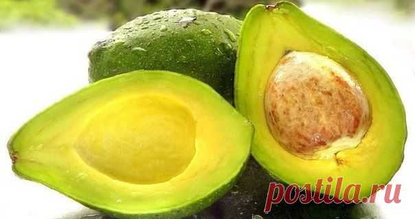 Отвар косточки авокадо — суперпродукт для Вашего здоровья!