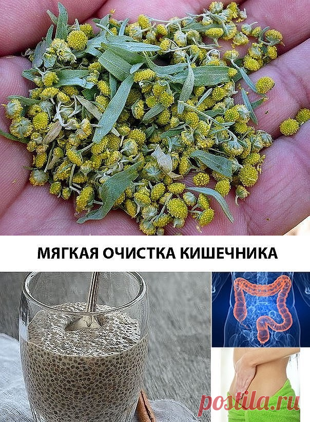 Эффективная очистка кишечника. Мягкое очищение кишечника. Продукты для очистки кишечника.