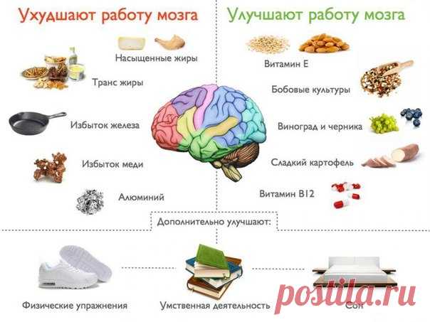 8 продуктов, которые сделают вас умнее: