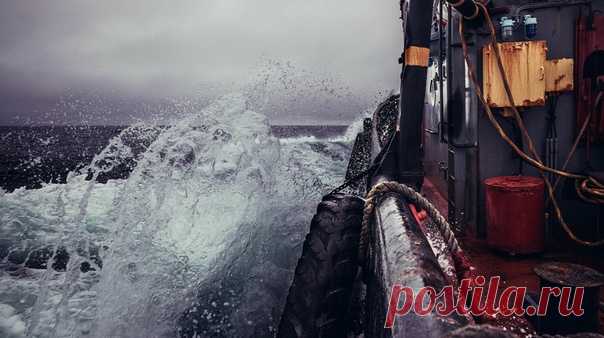 Суровый нрав Баренцева моря. Фотографию сделал Владимир Букаев – nat-geo.ru/photo/user/291702