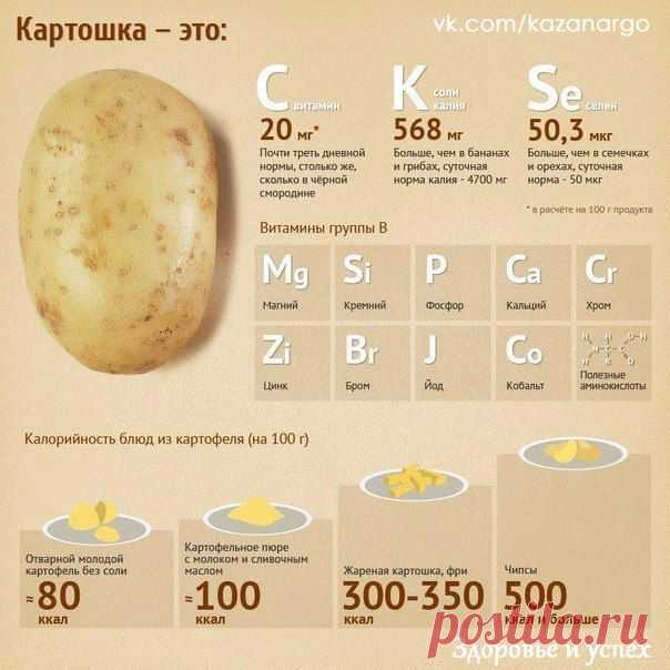 С какими продуктами лучше сочетать картофель?