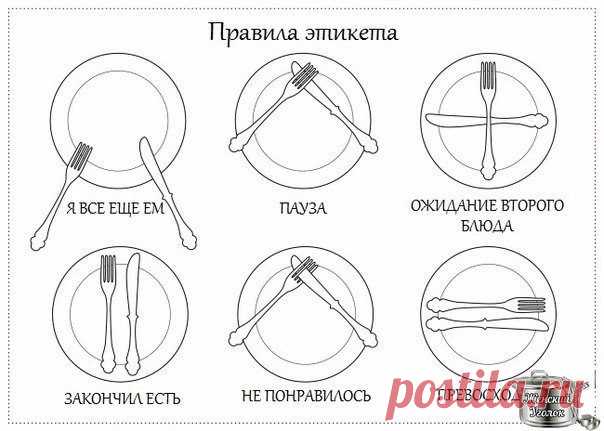 ​Правила этикета за столом в кафе или в ресторане — Полезные советы