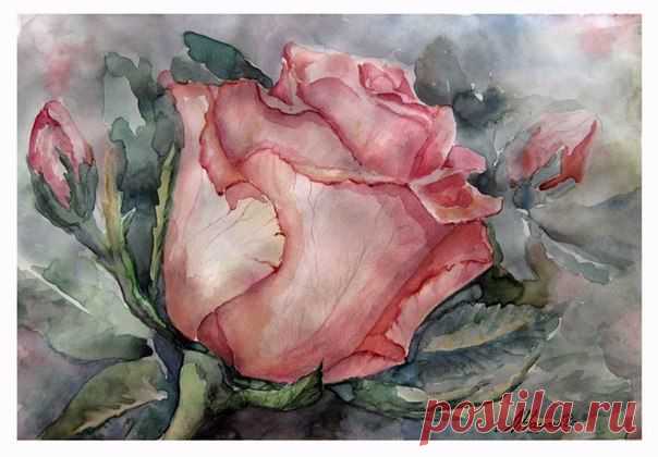 Как нарисовать розу акварелью. Урок от Милы Наумовой | Умелые ручки