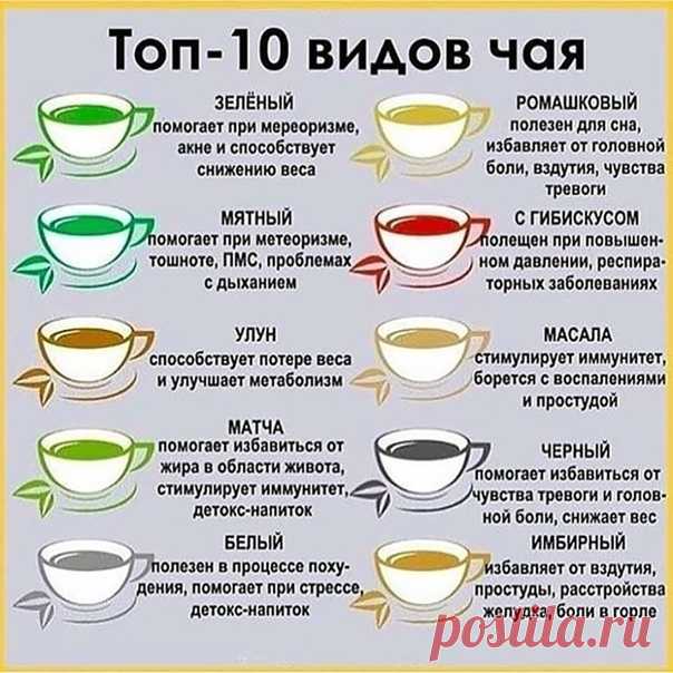 Топ-10 видов чая
А кaкой чaй ваш любимый чай?