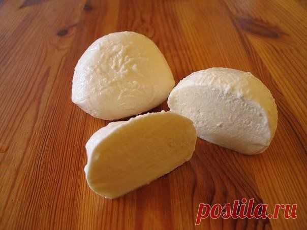 Сыр по-домашнему " а-ля моцарелла" | Банк кулинарных рецептов