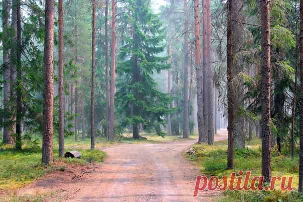 Клуб National Geographic Россия