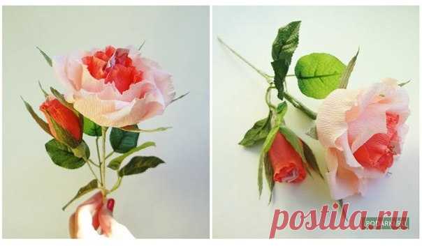 Роза из гофрированной бумаги — Сделай сам, идеи для творчества - DIY Ideas