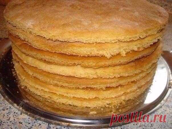 Как быстро приготовить коржи для торта?
читаем комменты!!!

http://i.ovkuse.ru/blogs/kulinarija/10-korzhei-na-skovorodke-za-30-minut.html на сковороде
