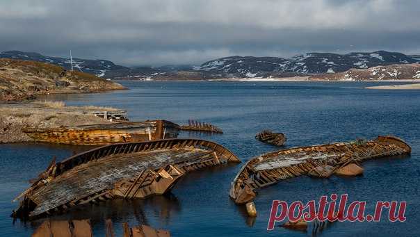 Скелеты Севера. Териберка, Мурманская область. Автор фото – Станислав Казнов: nat-geo.ru/photo/user/24745/