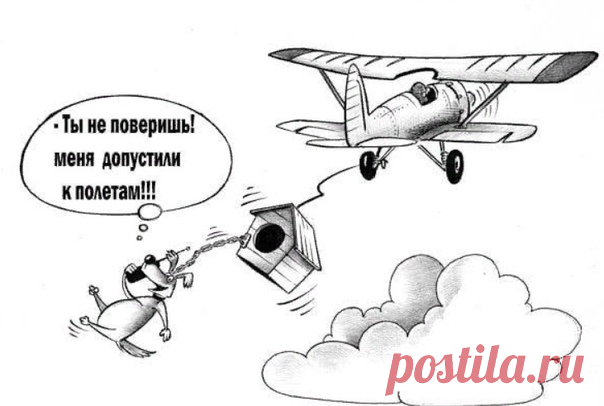 Анекдот про самолёт, очень смешная подборка | V.K. | Яндекс Дзен