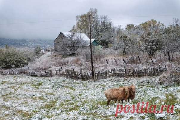 Фото дня. Снежное утро.