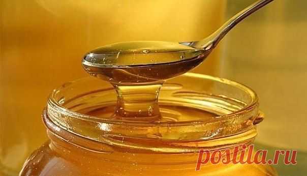 Как распознать натуральный мед? | Страна Полезных Советов