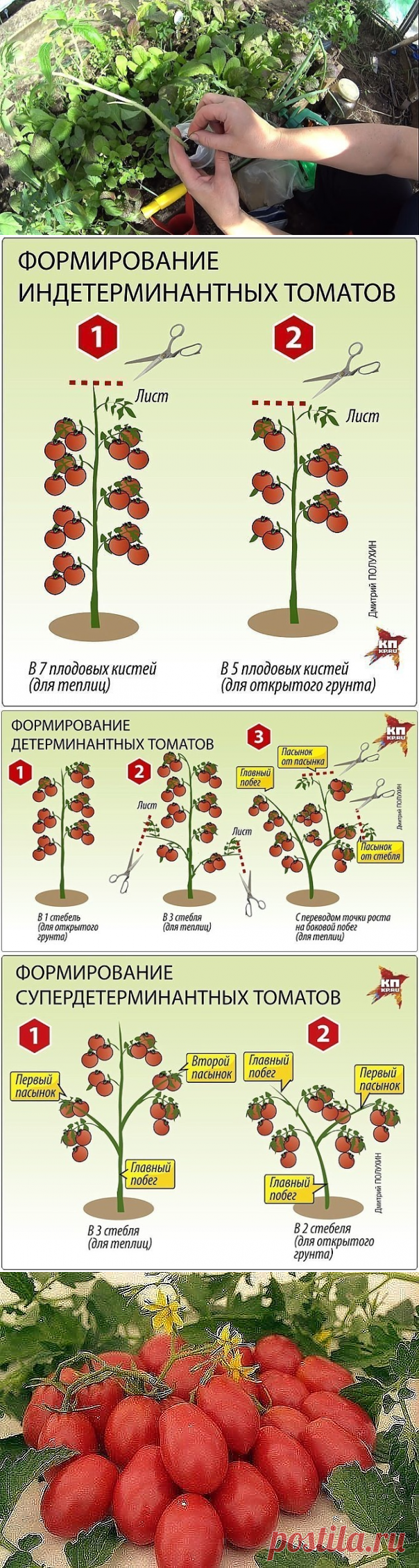 (1) Одноклассники