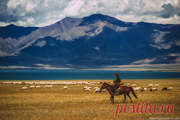 Пастух на озере Уурэг-Нуур, Монголия. Автор фото – Алена Бойко: nat-geo.ru/photo/user/124294/