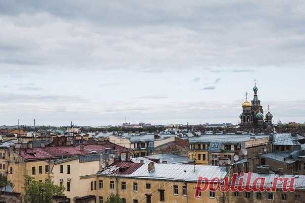 Петербург, в который невозможно не влюбиться: старинная архитектура, узкие улочки, крыши. Вся серия: