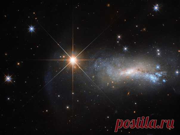 Недавно «Хаббл» заснял спиральную галактику NGC 7250 в созвездии Ящерицы. Все бы хорошо, но яркий свет галактики практически незаметен: его перекрывает мощное свечение звезды TYC 3203−450−1.