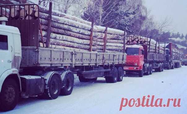 Работа для лесовозов на севере 
Обем 2800 куб
р-н п. Туртас
Дорога зимник.
от 50 до 70 км 
Потребность : 5-6шт 
12 метровые хлыстовозы,лесовозы.
Цена: 700 руб куб.
Перегон :предусмотрен.
http://special-service.info/
frizen196910@mail.ru
89045471839 юрий