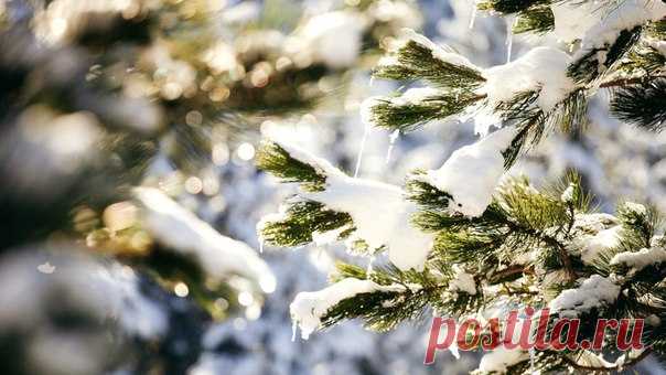 КАКОЙ СЕГОДНЯ ПРАЗДНИК? 22 Января 2018 г. – Понедельник • Температурный праздник • День рождения воздушной кукурузы (попкорна)388 лет • День проветривания блокнотных записей • День войск авиации противовоздушной обороны РФ76 лет • День соборности - Украина • День дедушки - Польша • Национальный день светлого пирожного - США • День работников таможни - Таджикистан • Именины у Петра, Филиппа, Антонины, Павла • Скрута Будняя