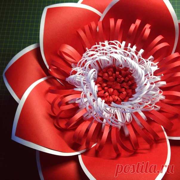 Что делать, когда нужно увеличить размер цветка?
Иногда достаточно добавить один лепесток, не увеличивая его размер, и цветок получается больше, иногда просто делаем лепестки побольше, при этом не меняем их количество и количество рядов, а можем и поменять В общем вариантов много! 
Для этого мы НЕ используем дизайнерскую бумагу, а берём бумагу попроще и начинаем экспериментировать. 
 Об этом и еще о многом другом мы расскажем на полном онлайн курсе.
Чтобы записаться на к...