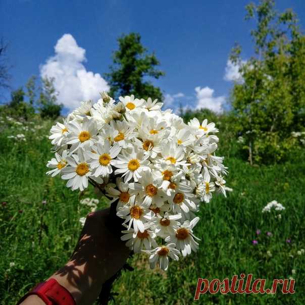 С Добрым Утром! С Хорошими новостями. С солнышком в душе. С радостью на сердце. И с верой—ВСЁ БУДЕТ ХОРОШО! По другому быть не может. Автор фото Ксения Миронова