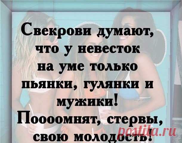 Свекрови думают, что у невесток на уме только пьянки, гулянки и мужики... Улыбнемся)))