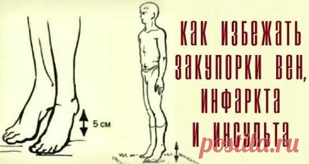 Защищаем себя от тромбов и инсульта по академику Микулину ? 
 
Однажды я застала свою тетю за очень странным занятием и когда я спросила что же она делает? Она дала мне прочесть статью про методику академика Микулина, при помощи которой идёт хорошая профилактика кровеносных застоев и как следствие профилактика тромбов и инсультов. 
 
И вот теперь почти вся наша семья стучит пятками. 
 
Кстати данная методика очень популярна во многих странах мира. 
 
Данный метод: 
 
Норма...