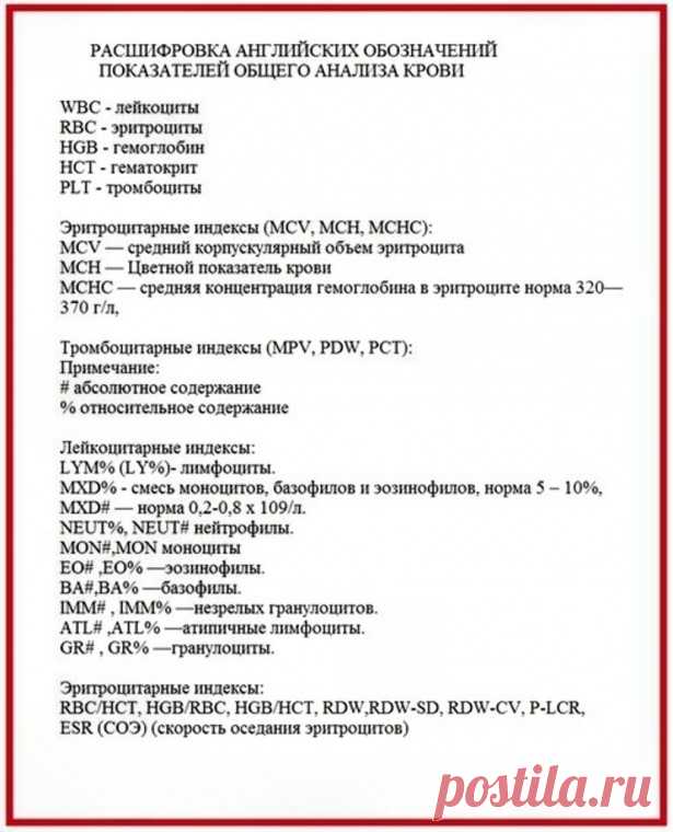 Как расшифровать анализ крови — Полезные советы