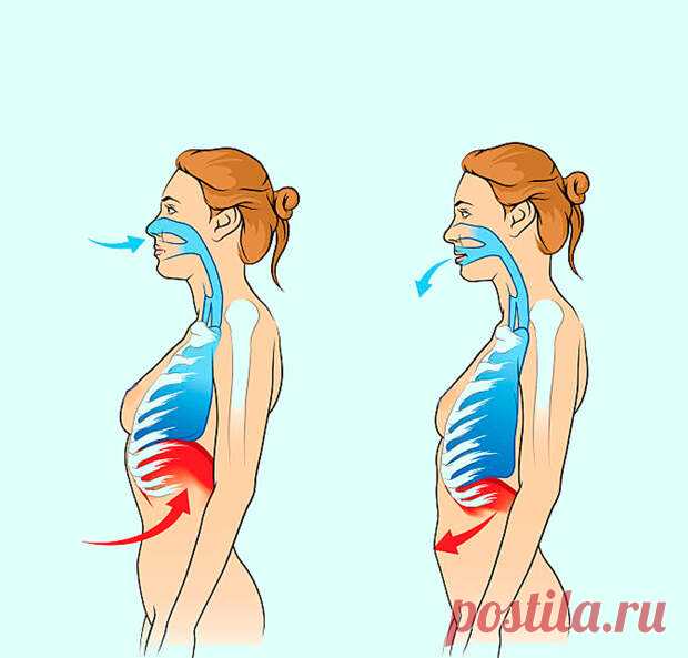 Техника дыхания по Бутейко, которая оздоравливает весь организм - ПолонСил.ру - социальная сеть здоровья - медиаплатформа МирТесен