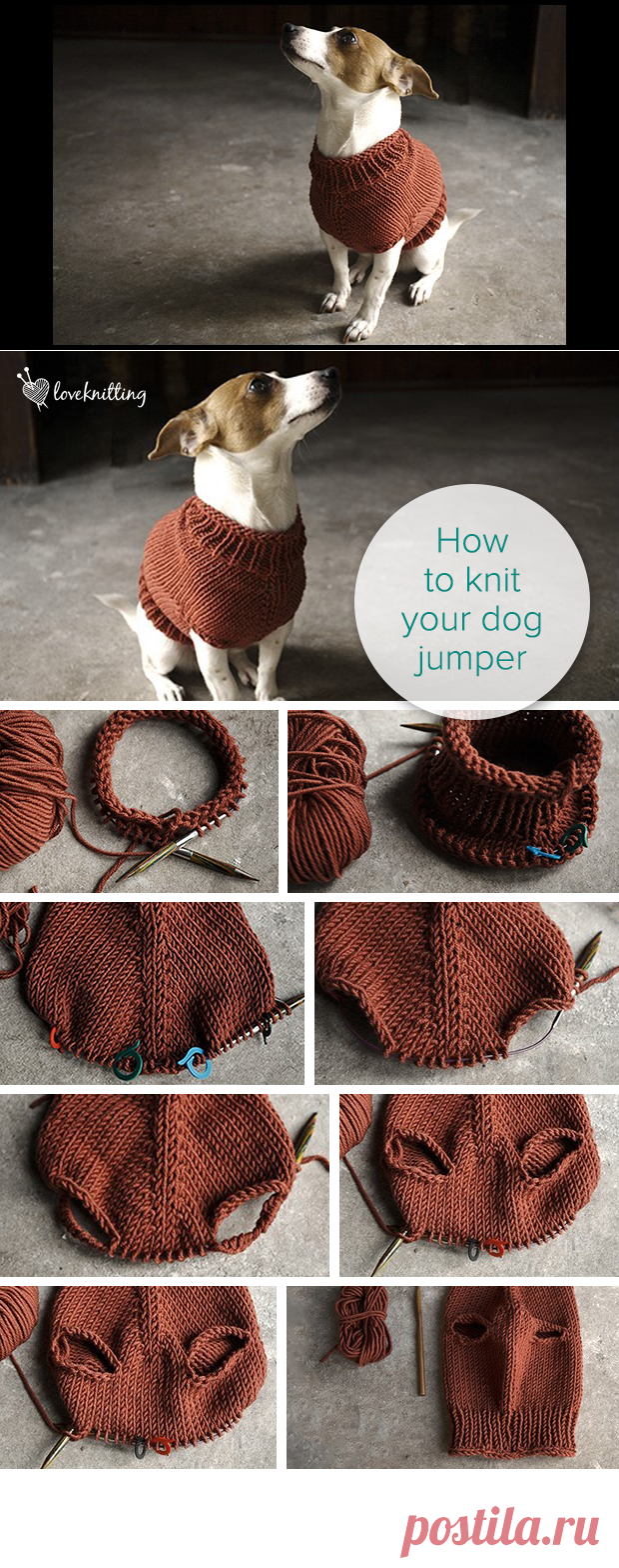 Knit with Alice: The Juno Jumper • LoveKnitting Blog