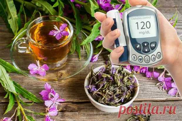 Лечебные травы и лекарственные сборы от сахарного диабета... - Познавательный сайт ,,1000 мелочей" - медиаплатформа МирТесен
