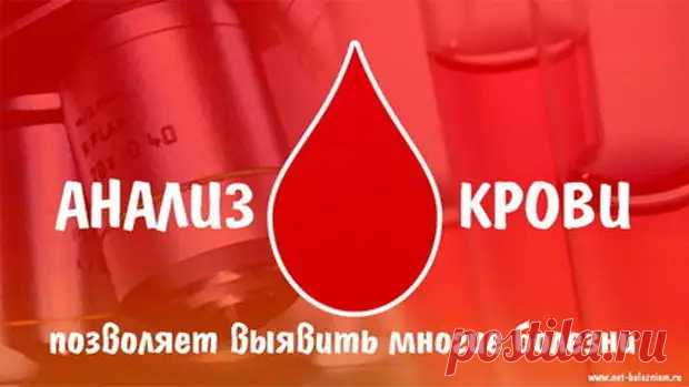 Анализ крови: 18 тестов, которые опишут истинное состояние здоровья - ПолонСил.ру - социальная сеть здоровья - 25 октября - 43148010384 - Медиаплатформа МирТесен