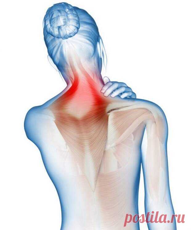 Какая связь между шеей и высоким давлением - Народная медицина - медиаплатформа МирТесен Избавиться от остеохандроза и тяжелой гипертонии, а также снизить риск развития инсульта и инфаркта можно, если регулярно и правильно разрабатывать шейные мышцы. В сложных ситуациях основные упражнения дополняются тренировками на специальных реабилитационных устройствах, и специалисты назначают