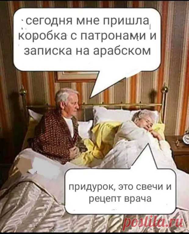 - Ух, какая у тебя собака! Зачем завела?... - Смехопанорама - медиаплатформа МирТесен