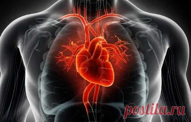 Каким бывает рак сердца — смертельная болезнь, о которой почти никто не говорит - ПолонСил.ру - социальная сеть здоровья - 9 июля - 43681674433 - Медиаплатформа МирТесен