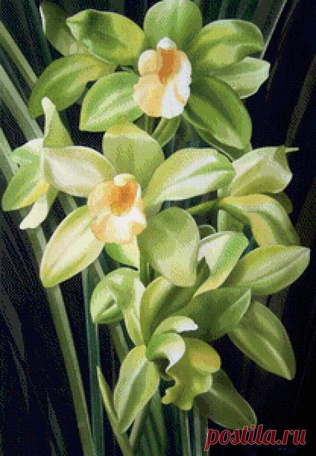 Схема вышивки «орхидеи» - Вышивка крестом