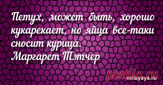 Афоризм про жизнь со смыслом (картинка 14) . Милая Я