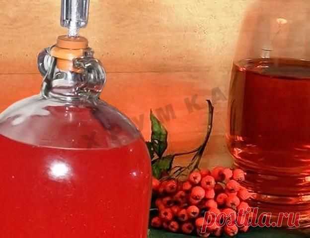Как приготовить Домашнее вино из красной рябины рецепт с фото