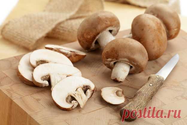 Как правильно готовить грибы: секреты и тонкости | Интересные рецепты