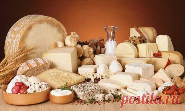 Сырные советы. Как сохранить сыр свежим? —