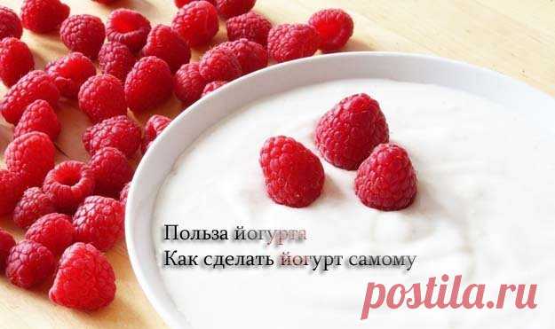 Для всех #йогурт - это #продукт для здоровья и хорошего самочувствия.
- Чем он так полезен?
Подробно о том, чем йогурт полезен. И все тонкости, как сделать йогурт в домашних условиях самому без особых проблем…