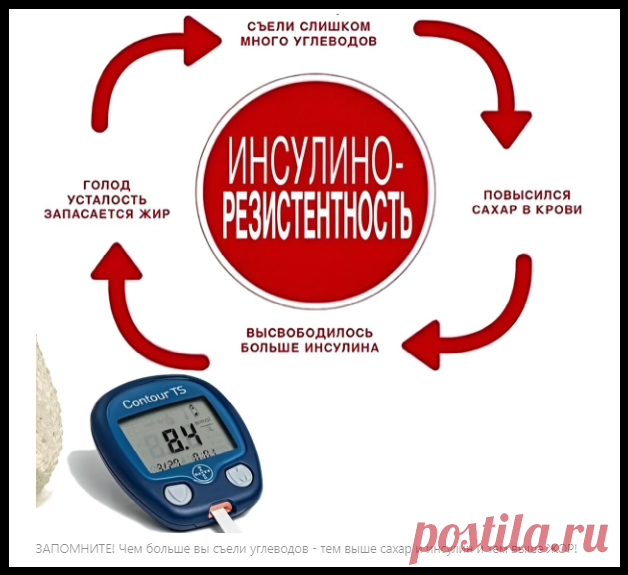 Почему мы не можем похудеть? Тайная неизличимая болезнь о которой молчат врачи!