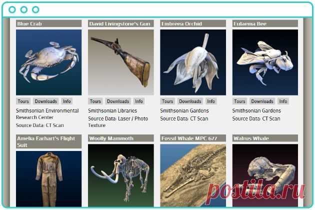 Смитсоновский институт начал выкладывать в открытый доступ 3D-модели своих экспонатов — Новости — Apparat