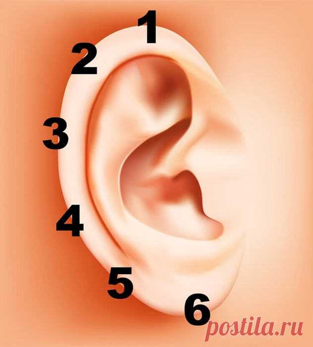 Как избавиться от проблем, зная точки на ушах?