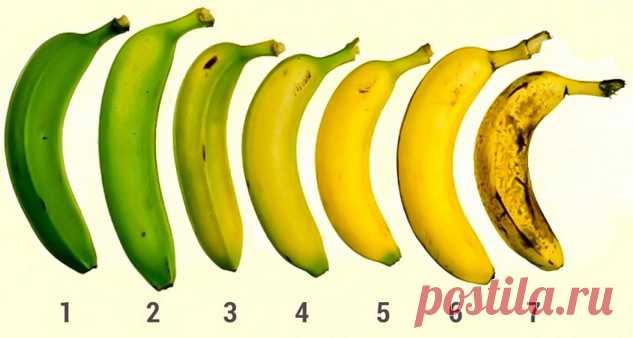 Какие бананы полезны Банан — это фрукт, который уже давно перешел из разряда экзотических в ряд привычных продуктов питания. Их едят практически все и всюду. О пользе бананов можно говорить достаточно долго.