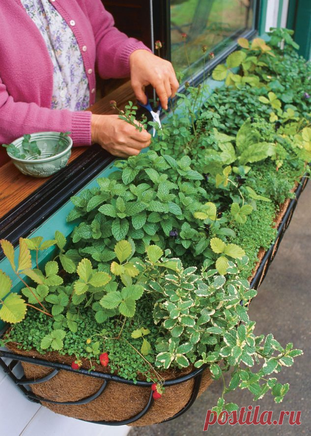 14 DIY Mini Herb Garden To Instantly Draw Your Attention – Home info