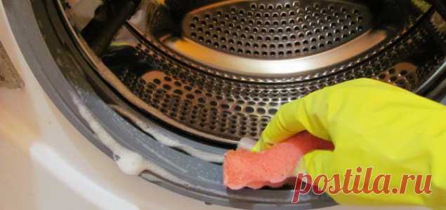 Проверенный способ спасите вашу стиральную машину от опасной плесени