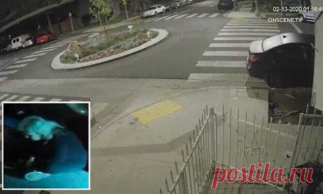 Пошла на взлет: пьяная американка врезалась в клумбу на скорости 160 км/ч 27-летняя Марисела Овалле (Marisela Ovalle) пересекла 4-ю улицу и Дейзи-Авеню в городе Лонг-Бич, штат Калифорния, в 2 часа ночи в четверг. Дама на