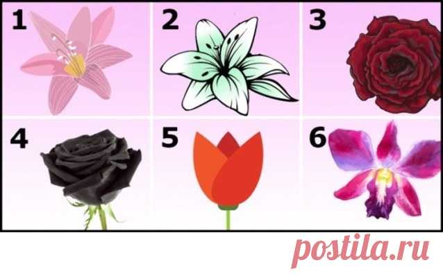 ТЕСТ: Выбери самый красивый цветок и узнай свой характер (точность 99 процентов)