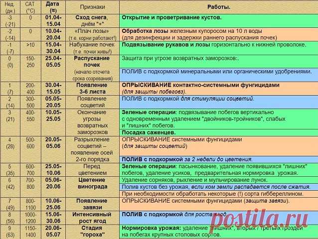 УСОВЕРШЕНСТВОВАННАЯ СХЕМА ВСЕХ ПРОВОДИМЫХ РАБОТ С НАЧАЛА ВЕСНЫ ДО ГЛУБОКОЙ ОСЕНИ НА ВИНОГРАДНИКЕ ЛЮБИТЕЛЯ НА 2018-2019 ГОДА. 
Сохраните к себе на стену и распечатайте на принтере, чтобы не потерять!
Воронежский виноградарь.